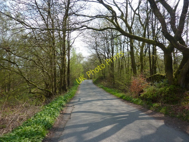 Photo 6"x4" Road south of Mungeon Farm Seatle c2011
