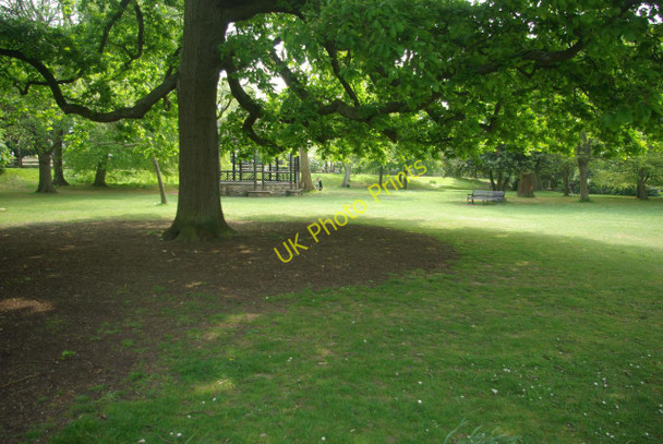 Photo 6"x4" Hotham Park Bognor Regis c2011 P1
