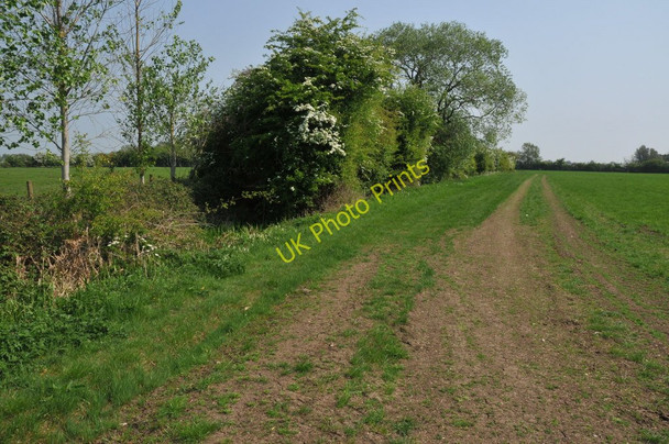 Photo 6"x4" Thames Path near Upper Inglesham Hannington Wick c2011
