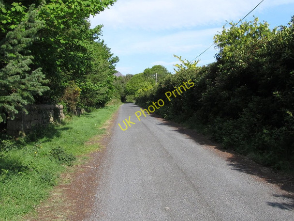 Photo 6"x4" The NI Water road through Annalong Wood Annalong c2011