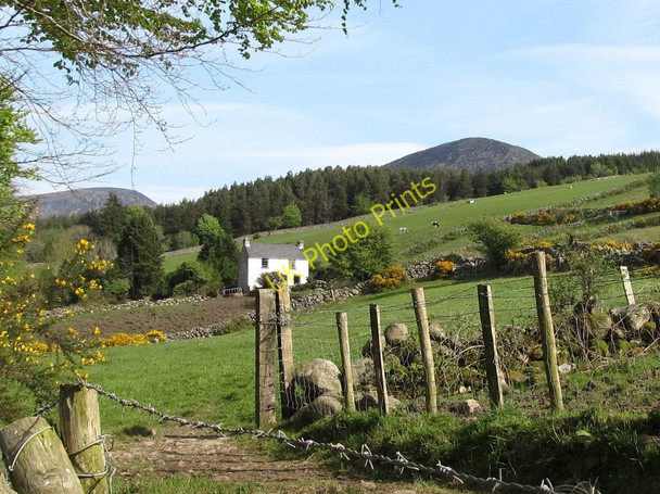 Photo 6"x4" Former farmhouse on the moorland fringe above the Head Road Annalong c2011