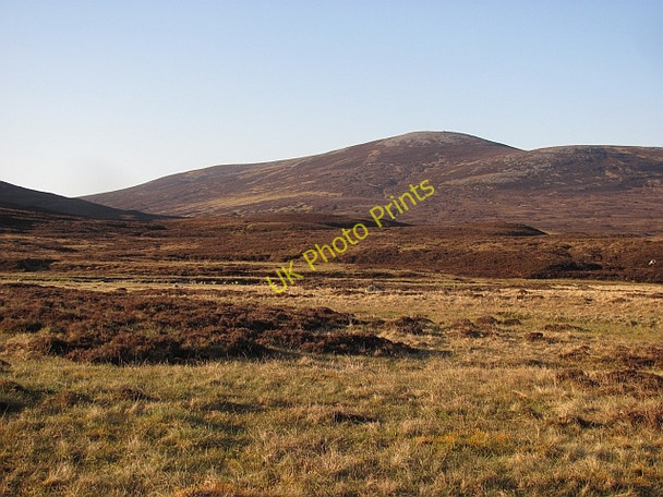 Photo 6"x4" Grasslands beside the Tarf Meall Dubh-chlais c2011