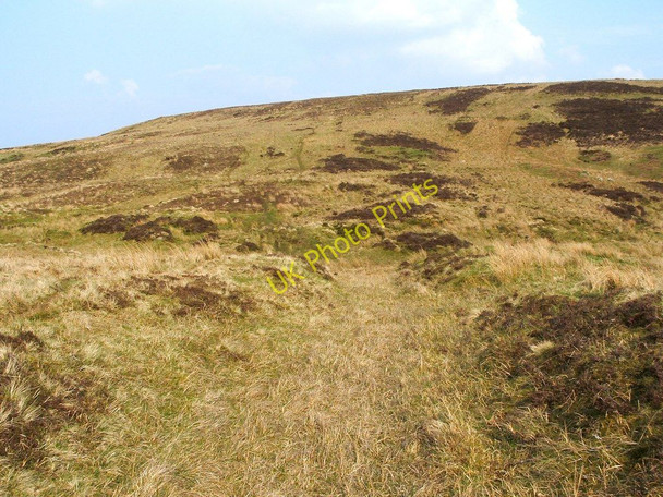 Photo 6"x4" Ancient trackway Bonhill c2011