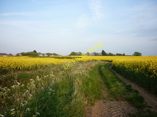 Photo 6"x4" A footpath towards North End Farm Ottringham c2011
