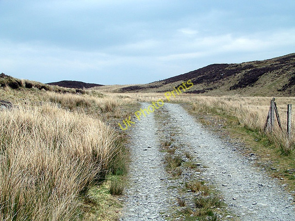 Photo 6"x4" The track to Glaslyn Bugeilyn\/SN8292 c2011