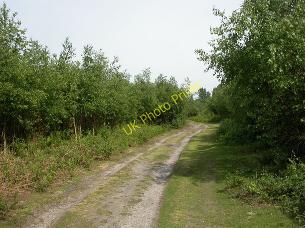 Photo 6"x4" Kingston, farm track Ringwood\/SU1505 c2011