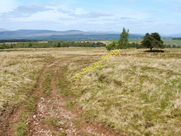 Photo 6"x4" Moorland track Craighat c2011