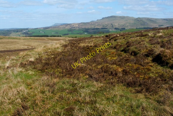 Photo 6"x4" Moorland track Craighat c2011