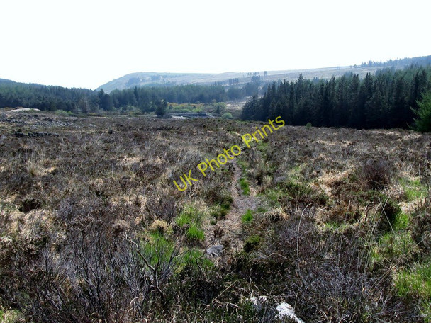 Photo 6"x4" Footpath leading south towards the Weir Annalong c2011