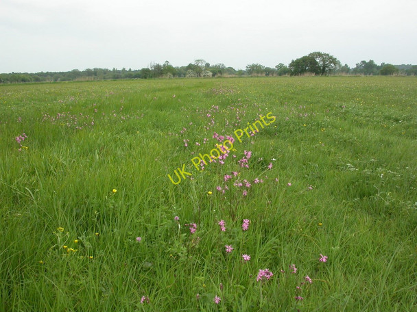 Photo 6"x4" Ringwood, water meadows Ringwood\/SU1505 c2011
