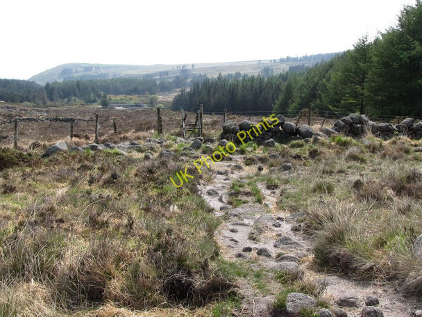 Photo 6"x4" Path and stile above the Annalong Weir Annalong c2011