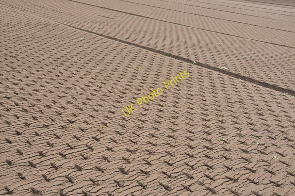 Photo 6"x4" Rolled soil, Kerswell Green Baynhall c2011