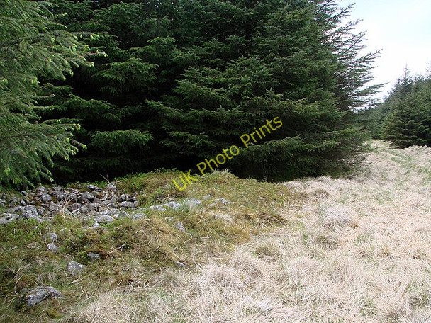 Photo 6"x4" Cairn at Esgair y Ffordd  Siambr Trawsfynydd c2011