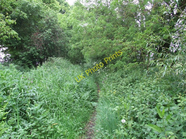 Photo 6"x4" Footpath, near Sturminster Marshall Sturminster Marshall c2011