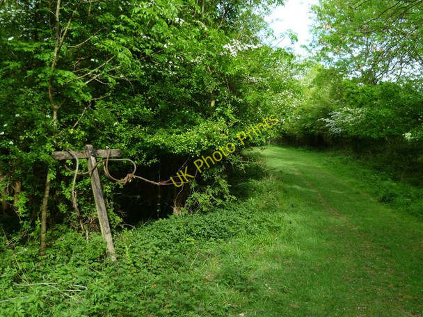 Photo 6"x4" Oddly decorated signpost between Graffham and the South Downs Way East Lavington c2011
