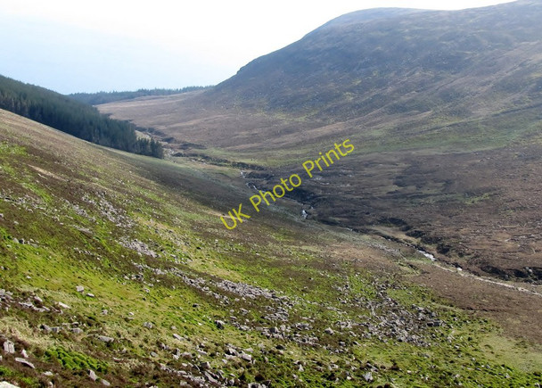 Photo 6"x4" The Upper Glen River Valley looking downstream Newcastle\/J3732 c2011