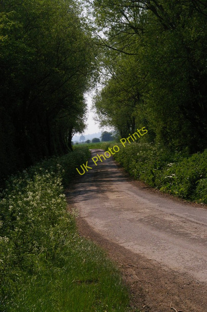 Photo 6"x4" Shirley Moor: Moor Lane, looking south Park Hill\/TQ9531 c2011