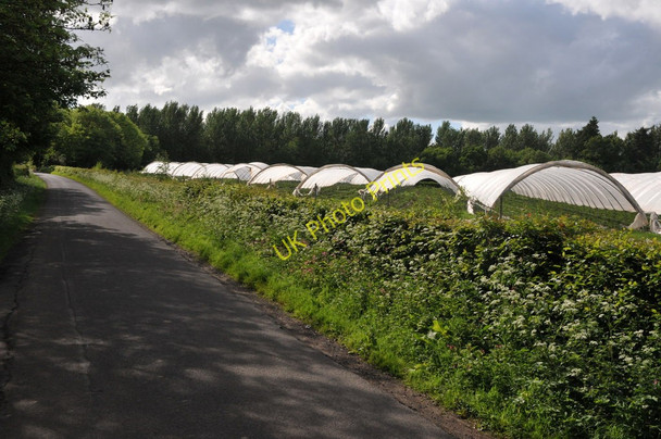 Photo 6"x4" Polytunnels near Wixford Wixford c2011