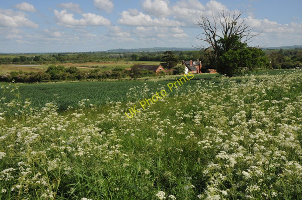 Photo 6"x4" Marsh Farm Salford Priors c2011