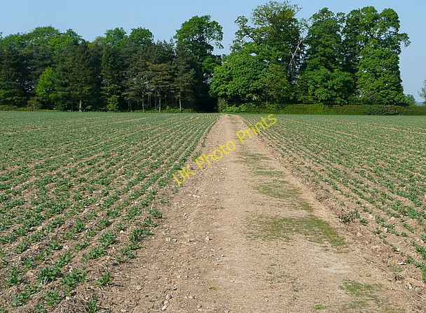 Photo 6"x4" Footpath towards Hampden church Great Hampden c2011