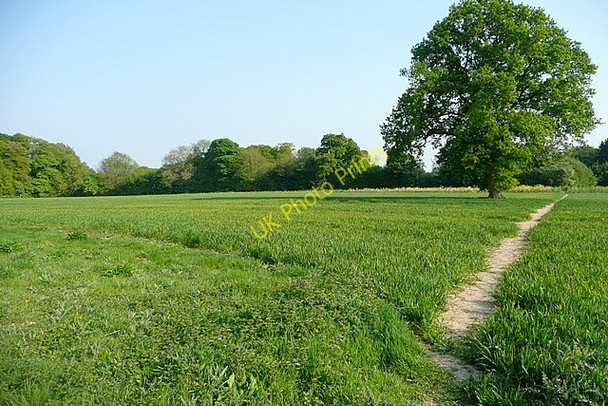 Photo 6"x4" Footpath from Hampden House Great Hampden c2011