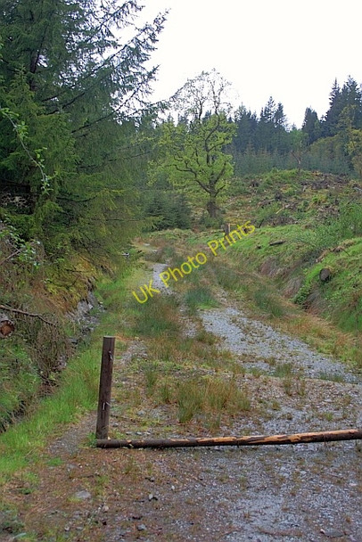 Photo 6"x4" Forest Track, near Creag Dhubh Brig o' Turk c2011