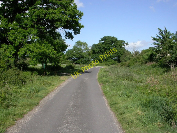 Photo 6"x4" Kingston, lane Bisterne c2011