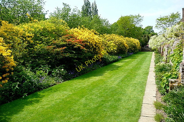 Photo 6"x4" Walk at Sissinghurst Castle Gardens Camden Hill c2011