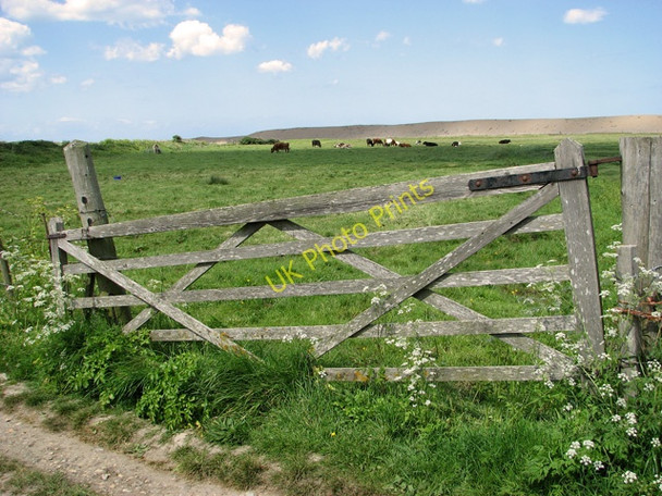 Photo 6"x4" Gate into cattle pasture by The Quag Kelling c2011