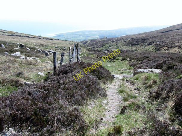 Photo 6"x4" The descending Spences River Path Annalong c2011