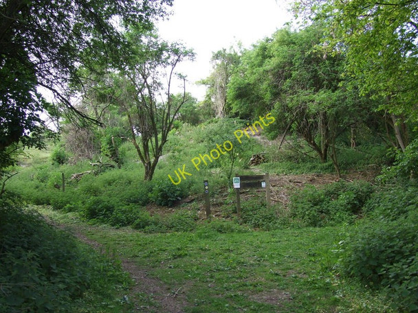 Photo 6"x4" Sovell Down Nature Reserve, Near Gussage St Michael Gussage All Saints c2011