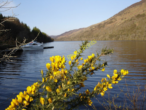 Photo 6"x4" Loch Oich looking North Invergarry c2005