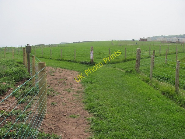 Photo 6"x4" Berwickshire Coast Path, Marshall Meadows Marshall Meadows c2011