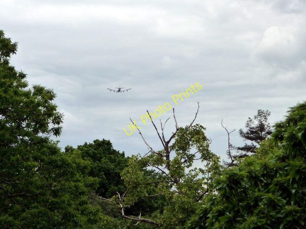 Photo 6"x4" View from Xstrata Tree Walk, Kew Gardens Brentford c2011