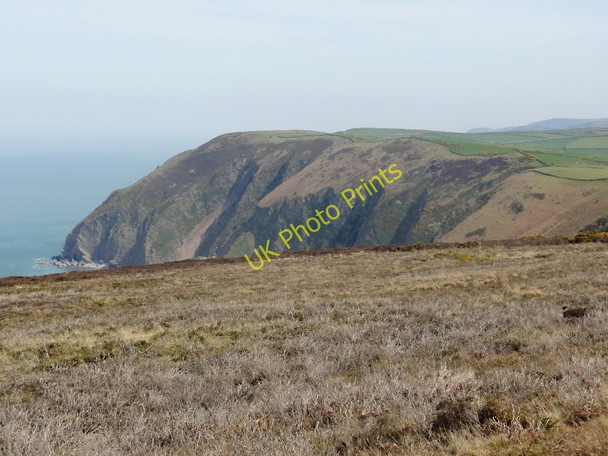 Photo 6"x4" Coastal Heathland Trentishoe c2011