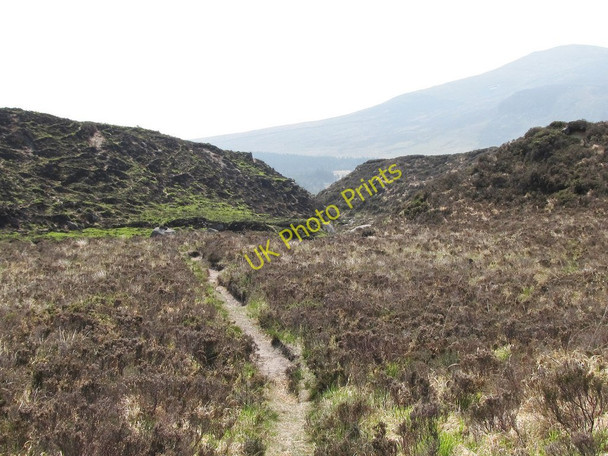 Photo 6"x4" Riverside track through the incised section of the Annalong River Annalong c2011