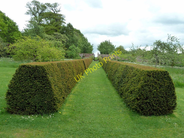 Photo 6"x4" Acorn Bank Garden Newbiggin\/NY6228 c2011