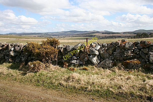Photo 6"x4" Drystane Dyke Ruthven\/NJ5046 c2008