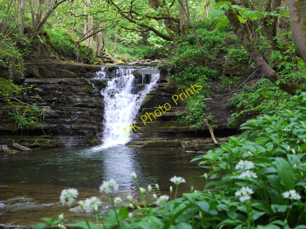 Photo 6"x4" Waterfall north of High Mill Westgate\/NY9038 c2011