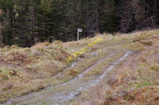 Photo 6"x4" Track junction near Loch an Iasaich Strathan\/NG9338 c2011