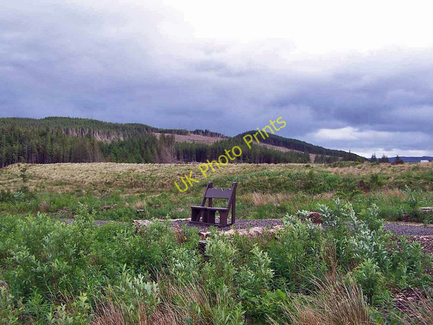 Photo 6"x4" Seat with a view Corry\/NG6424 c2011
