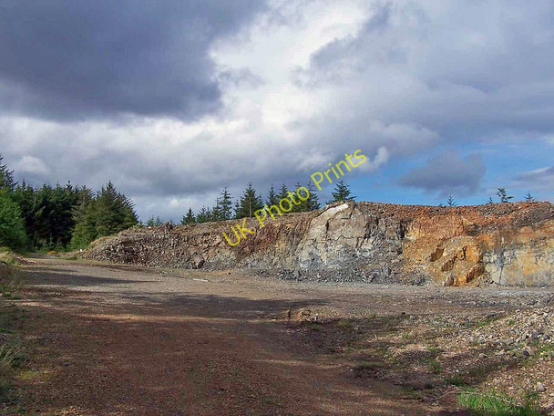 Photo 6"x4" Forest quarry Corry\/NG6424 c2011