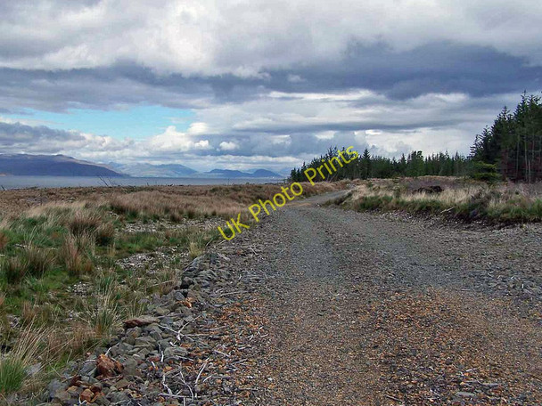 Photo 6"x4" New forestry road Corry\/NG6424 c2011