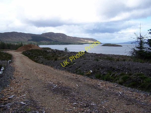 Photo 6"x4" New forestry road Corry\/NG6424 c2011 P1