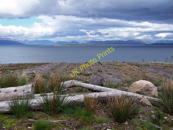 Photo 6"x4" Forest clearfell Corry\/NG6424 c2011