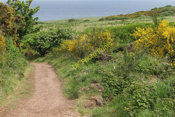 Photo 6"x4" Red shale path to the Peak Alum Works Ravenscar c2011