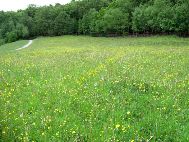 Photo 6"x4" Looking over the meadow Biddulph c2011