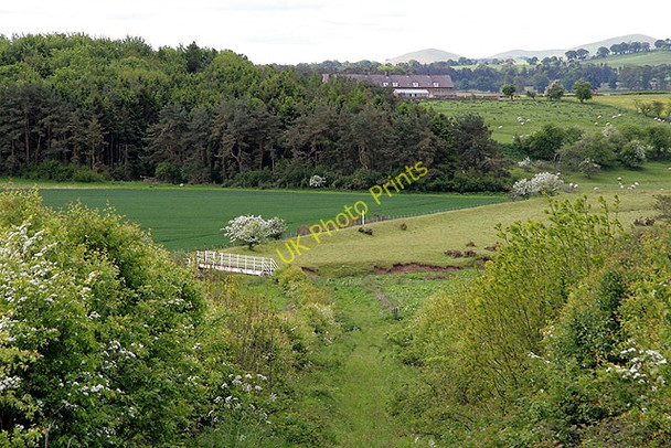 Photo 6"x4" A permissive path at New Bewick New Bewick c2011