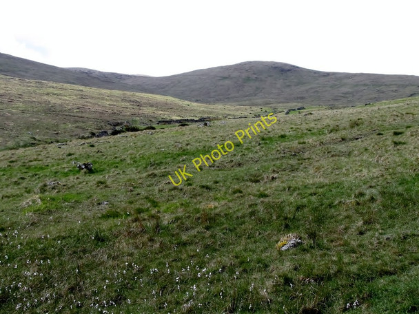 Photo 6"x4" Sheep pastures in the upper Shimna Valley Kilcoo c2011
