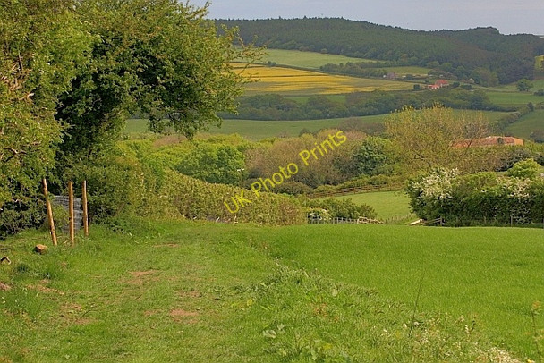 Photo 6"x4" View across the Lindhead Valley Silpho c2011